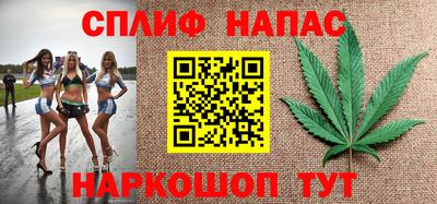 прущие грибы Обнинск