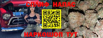 прущие грибы Обнинск
