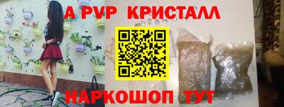 прущие грибы Обнинск
