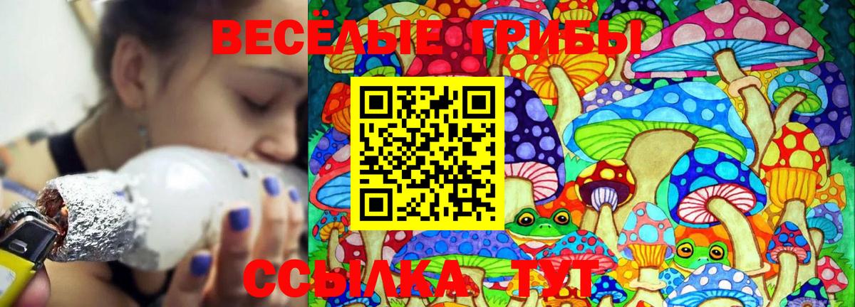 Псилоцибиновые грибы MAGIC MUSHROOMS Советская Гавань
