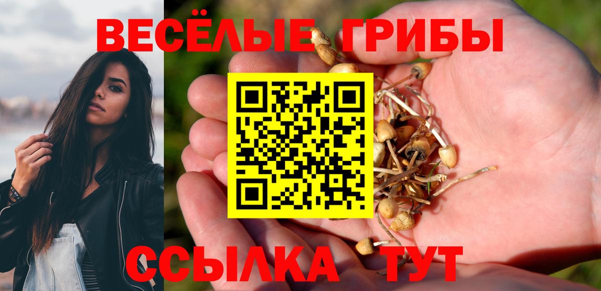 Галлюциногенные грибы Magic Shrooms  Вход с VPN  Советская Гавань  Псилоцибиновые грибы мицелий 
